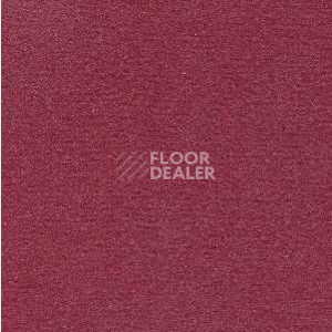 Ковролин Radici Nexus Amarena 8270 фото 1 | FLOORDEALER